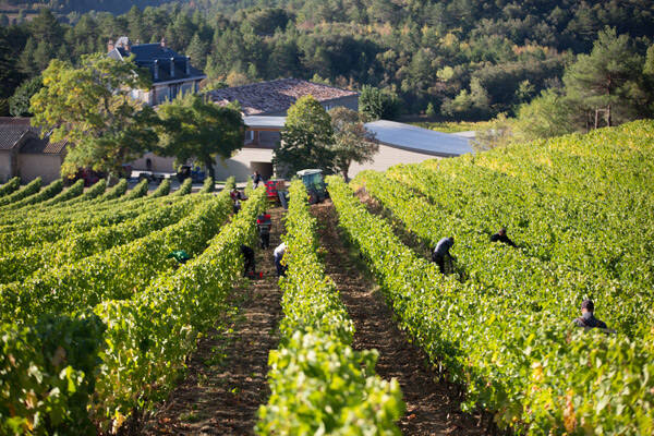 Domaine de Baronarques red wine Limoux languedoc 2016